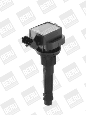Picture of Ignition Coil - BorgWarner (BERU) - ZS449