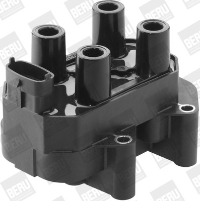Picture of Ignition Coil - BorgWarner (BERU) - ZS450