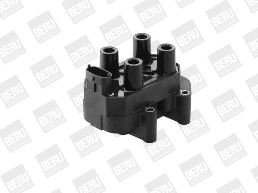 Picture of Ignition Coil - BorgWarner (BERU) - ZS450