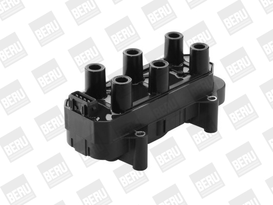 Picture of Ignition Coil - BorgWarner (BERU) - ZS451