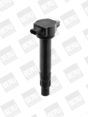 Picture of Ignition Coil - BorgWarner (BERU) - ZS453