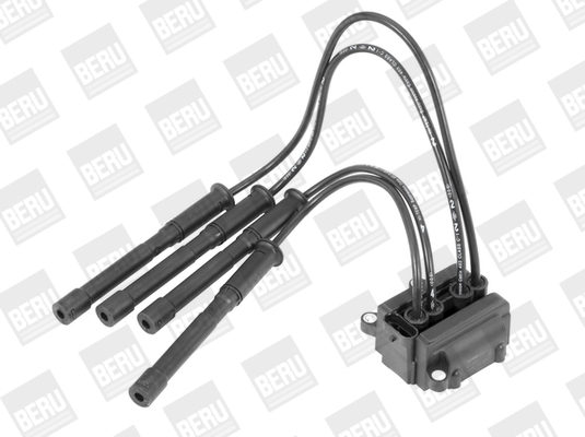 Picture of Ignition Coil - BorgWarner (BERU) - ZS454