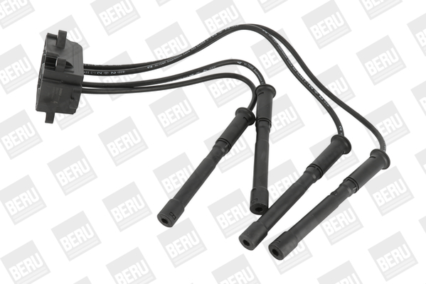 Picture of Ignition Coil - BorgWarner (BERU) - ZS454
