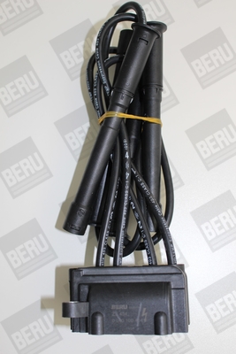 Picture of Ignition Coil - BorgWarner (BERU) - ZS454