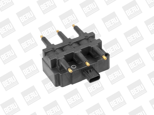 Picture of Ignition Coil - BorgWarner (BERU) - ZS455