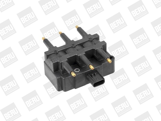 Picture of Ignition Coil - BorgWarner (BERU) - ZS455