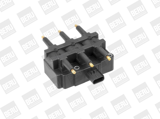 Picture of Ignition Coil - BorgWarner (BERU) - ZS456