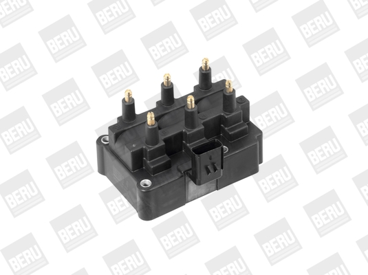 Picture of Ignition Coil - BorgWarner (BERU) - ZS470