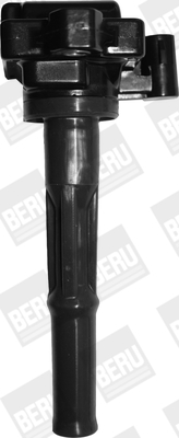 Picture of Ignition Coil - BorgWarner (BERU) - ZS473
