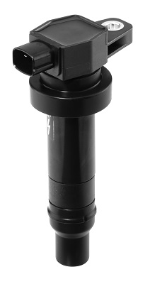 Picture of Ignition Coil - BorgWarner (BERU) - ZS474