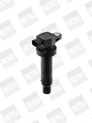 Picture of Ignition Coil - BorgWarner (BERU) - ZS474
