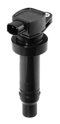 Picture of Ignition Coil - BorgWarner (BERU) - ZS475