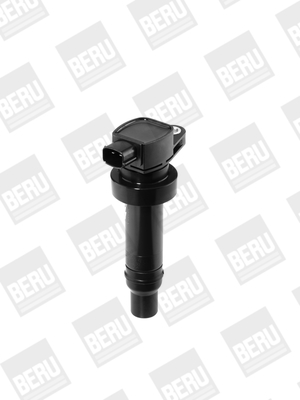 Picture of Ignition Coil - BorgWarner (BERU) - ZS475