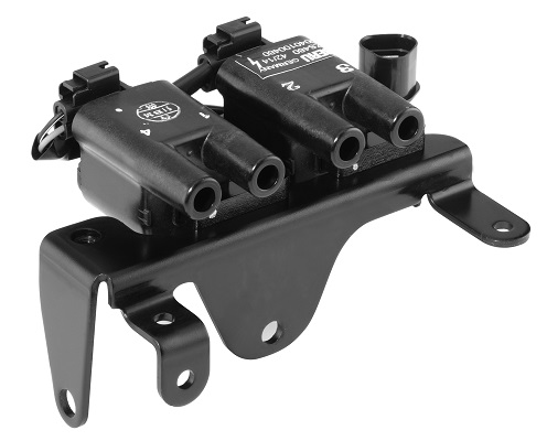 Picture of Ignition Coil - BorgWarner (BERU) - ZS480