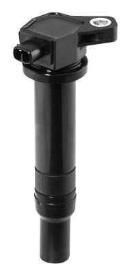 Picture of Ignition Coil - BorgWarner (BERU) - ZS481