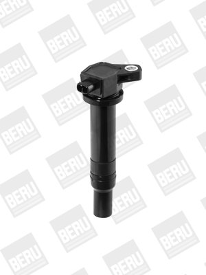 Picture of Ignition Coil - BorgWarner (BERU) - ZS481