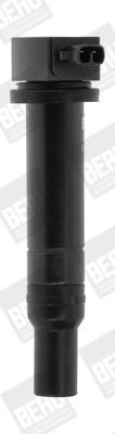 Picture of Ignition Coil - BorgWarner (BERU) - ZS481