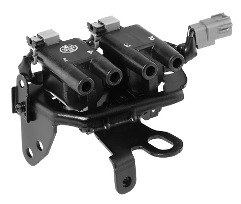 Picture of Ignition Coil - BorgWarner (BERU) - ZS482