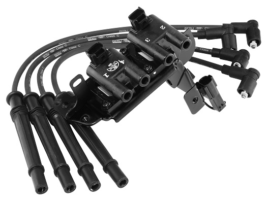 Picture of Ignition Coil - BorgWarner (BERU) - ZS483