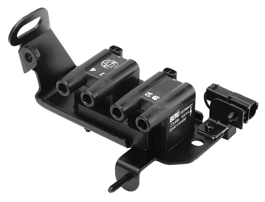 Picture of Ignition Coil - BorgWarner (BERU) - ZS486