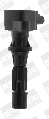 Picture of Ignition Coil - BorgWarner (BERU) - ZS488