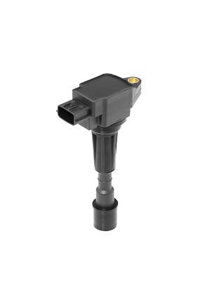 Picture of Ignition Coil - BorgWarner (BERU) - ZS489