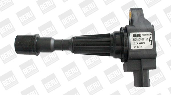 Picture of Ignition Coil - BorgWarner (BERU) - ZS489