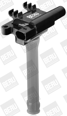 Picture of Ignition Coil - BorgWarner (BERU) - ZS502