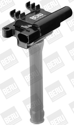 Picture of Ignition Coil - BorgWarner (BERU) - ZS502