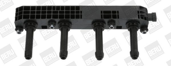 Picture of Ignition Coil - BorgWarner (BERU) - ZS508