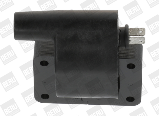 Picture of Ignition Coil - BorgWarner (BERU) - ZS511