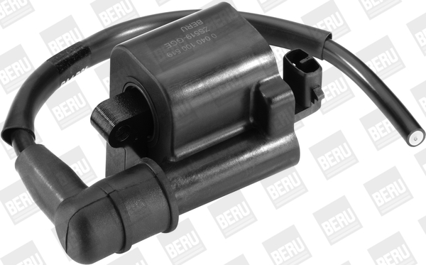 Picture of Ignition Coil - BorgWarner (BERU) - ZS519