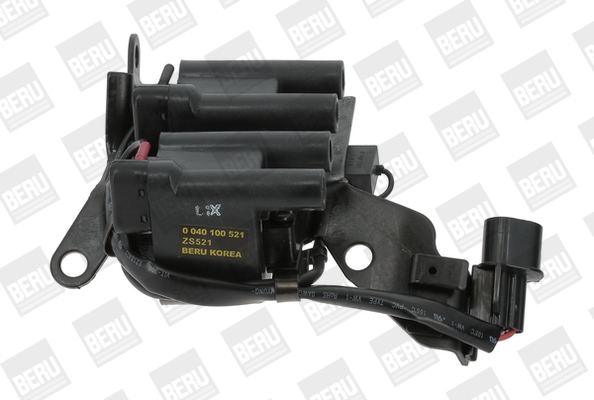 Picture of Ignition Coil - BorgWarner (BERU) - ZS521