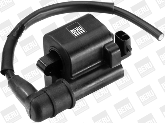 Picture of Ignition Coil - BorgWarner (BERU) - ZS523