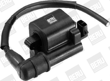Picture of Ignition Coil - BorgWarner (BERU) - ZS523
