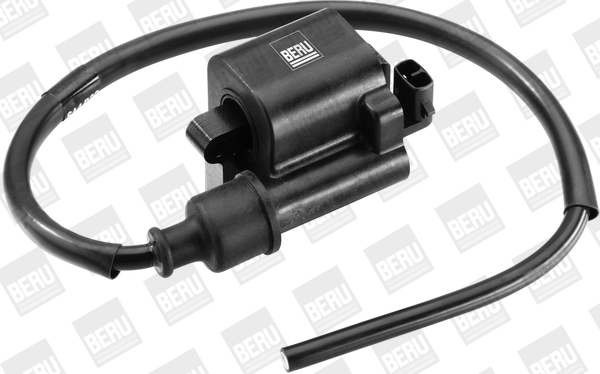 Picture of Ignition Coil - BorgWarner (BERU) - ZS524