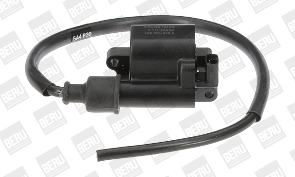 Picture of Ignition Coil - BorgWarner (BERU) - ZS524