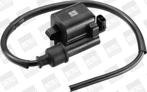 Picture of Ignition Coil - BorgWarner (BERU) - ZS524