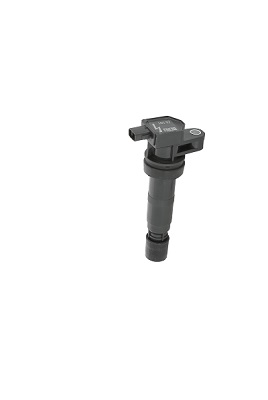 Picture of Ignition Coil - BorgWarner (BERU) - ZS531