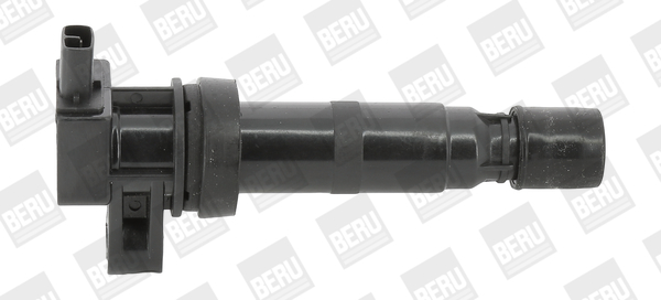 Picture of BorgWarner (BERU) - ZS531