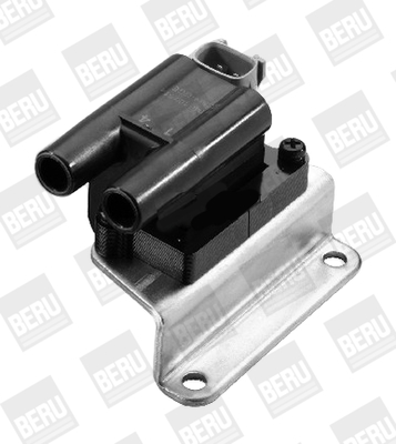 Picture of Ignition Coil - BorgWarner (BERU) - ZS534