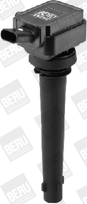 Picture of Ignition Coil - BorgWarner (BERU) - ZS535