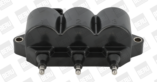 Picture of Ignition Coil - BorgWarner (BERU) - ZS539