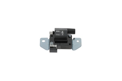 Picture of Ignition Coil - BorgWarner (BERU) - ZS540