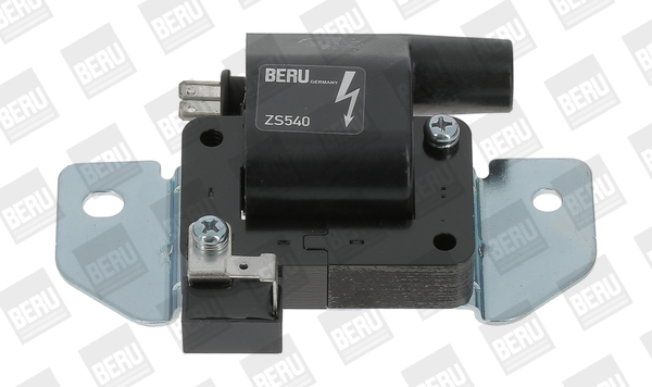 Picture of Ignition Coil - BorgWarner (BERU) - ZS540
