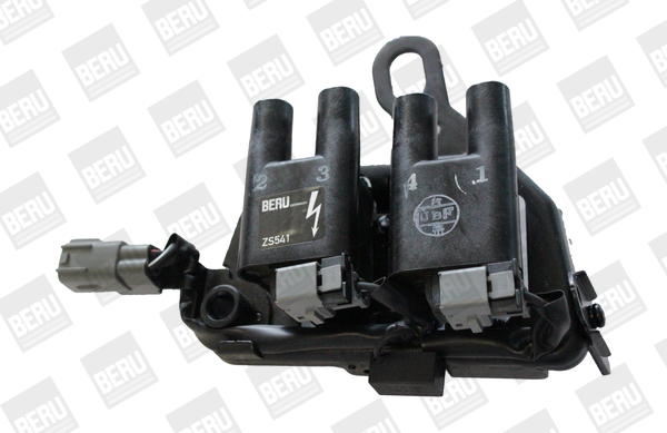 Picture of Ignition Coil - BorgWarner (BERU) - ZS541