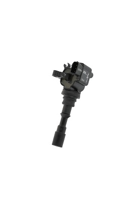 Picture of Ignition Coil - BorgWarner (BERU) - ZS542