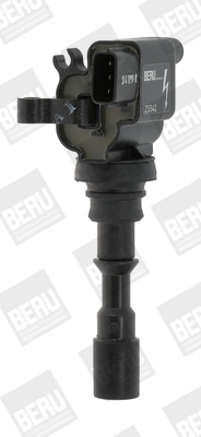 Picture of BorgWarner (BERU) - ZS542