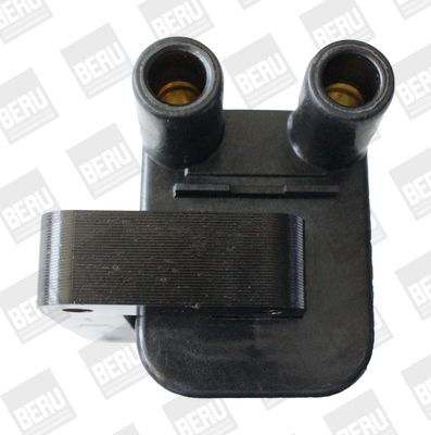 Picture of Ignition Coil - BorgWarner (BERU) - ZS544