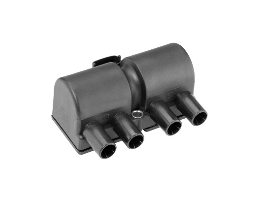 Picture of Ignition Coil - BorgWarner (BERU) - ZS545